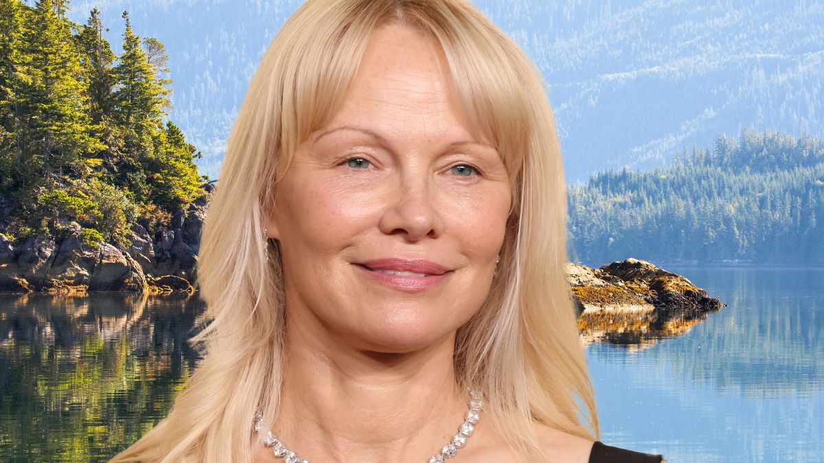 pamela anderson