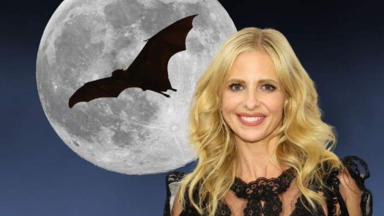 Sarah Michelle Gellar