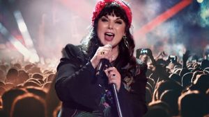 ann wilson
