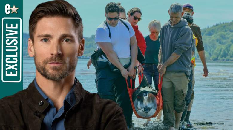 Andrew Walker