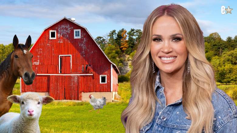 Carrie Underwood