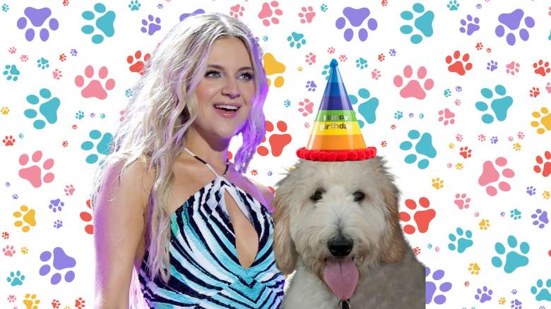 Kelsea Ballerini's Shoutout to Doggo Dibs