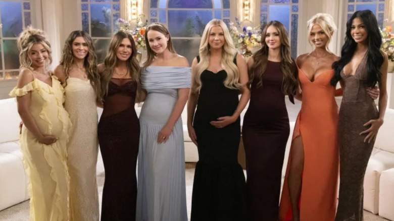 The season 2 cast of The Secret Lives of Mormon Wives