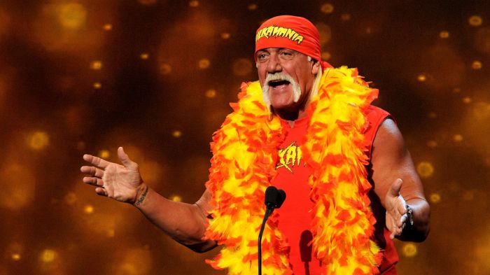 Hulk Hogan