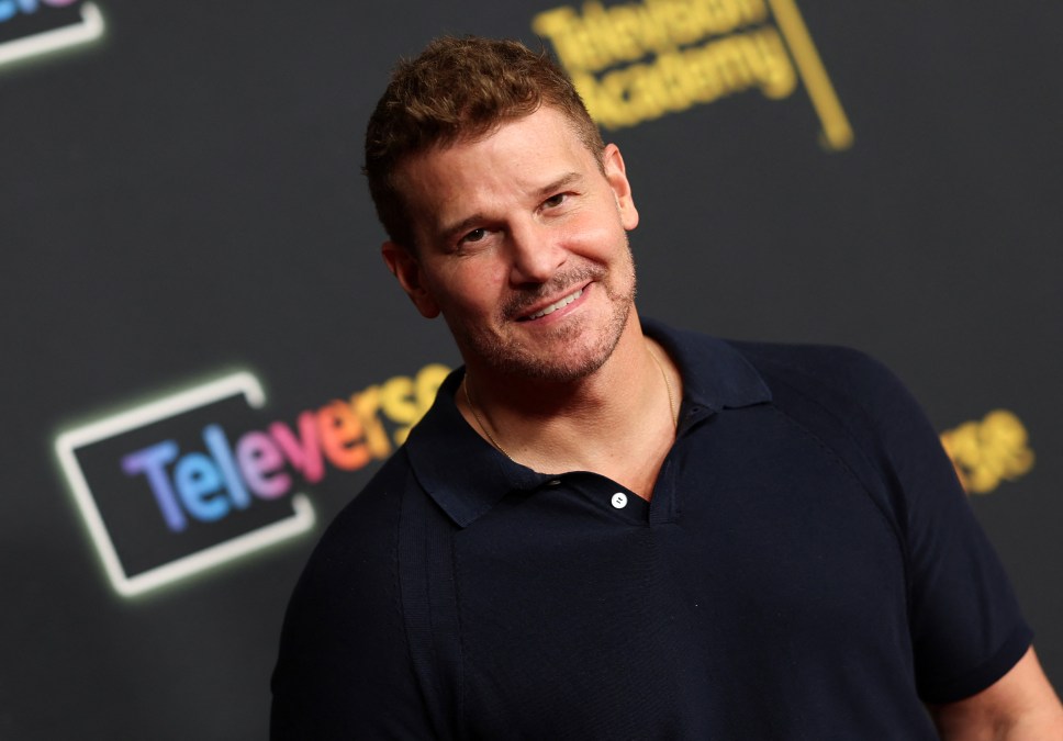 David Boreanaz
