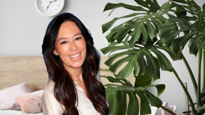 Joanna Gaines