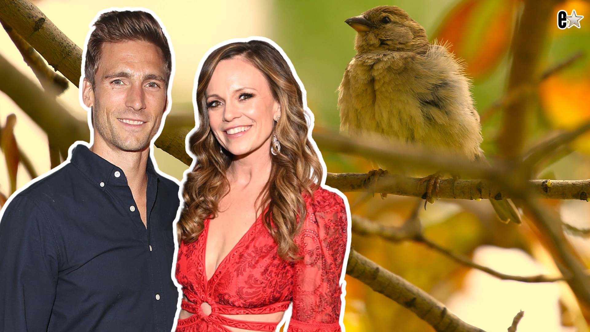Andrew Walker, Rachel Boston
