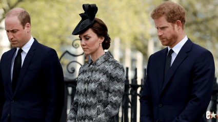 Prince William & Harry’s Beloved Family Member Passes Away: Tributes Pour In