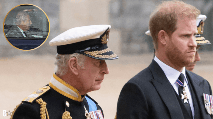 Prince Harry Reunites with King Charles After More Than a Year: DETAILS