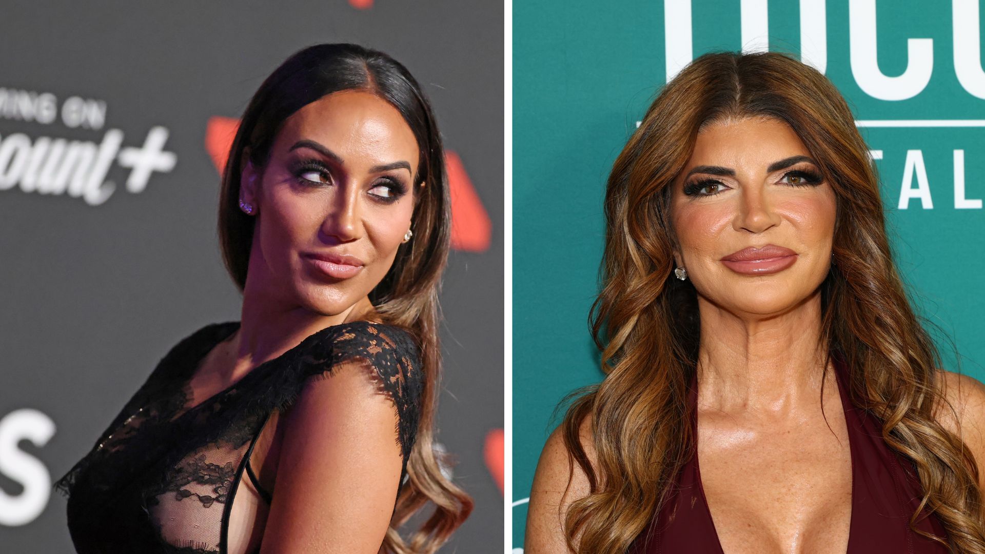 Melissa Gorga, Teresa Giudice
