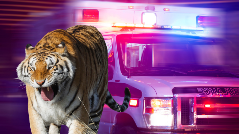 Joe Exotic Tiger King friend died