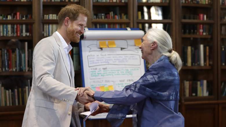 Prince Harry & Meghan Markle Remember Jane Goodall