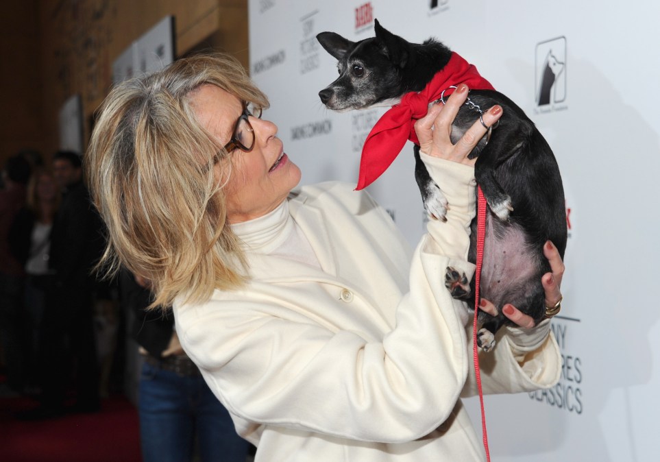 Actress Diane Keaton