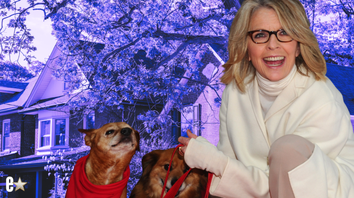 Diane Keaton’s Neighbor & Friend Shares Touching Memories of Their Final Walks