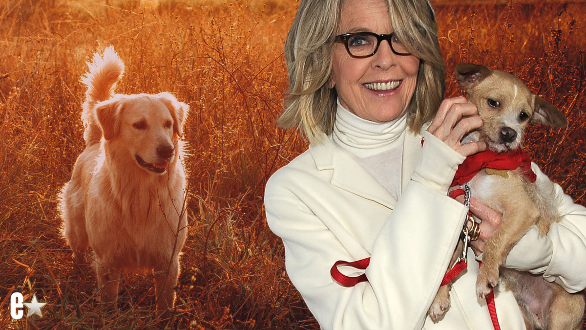 Diane Keaton will dog Reggie