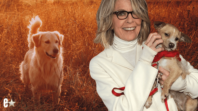 Diane Keaton will dog Reggie