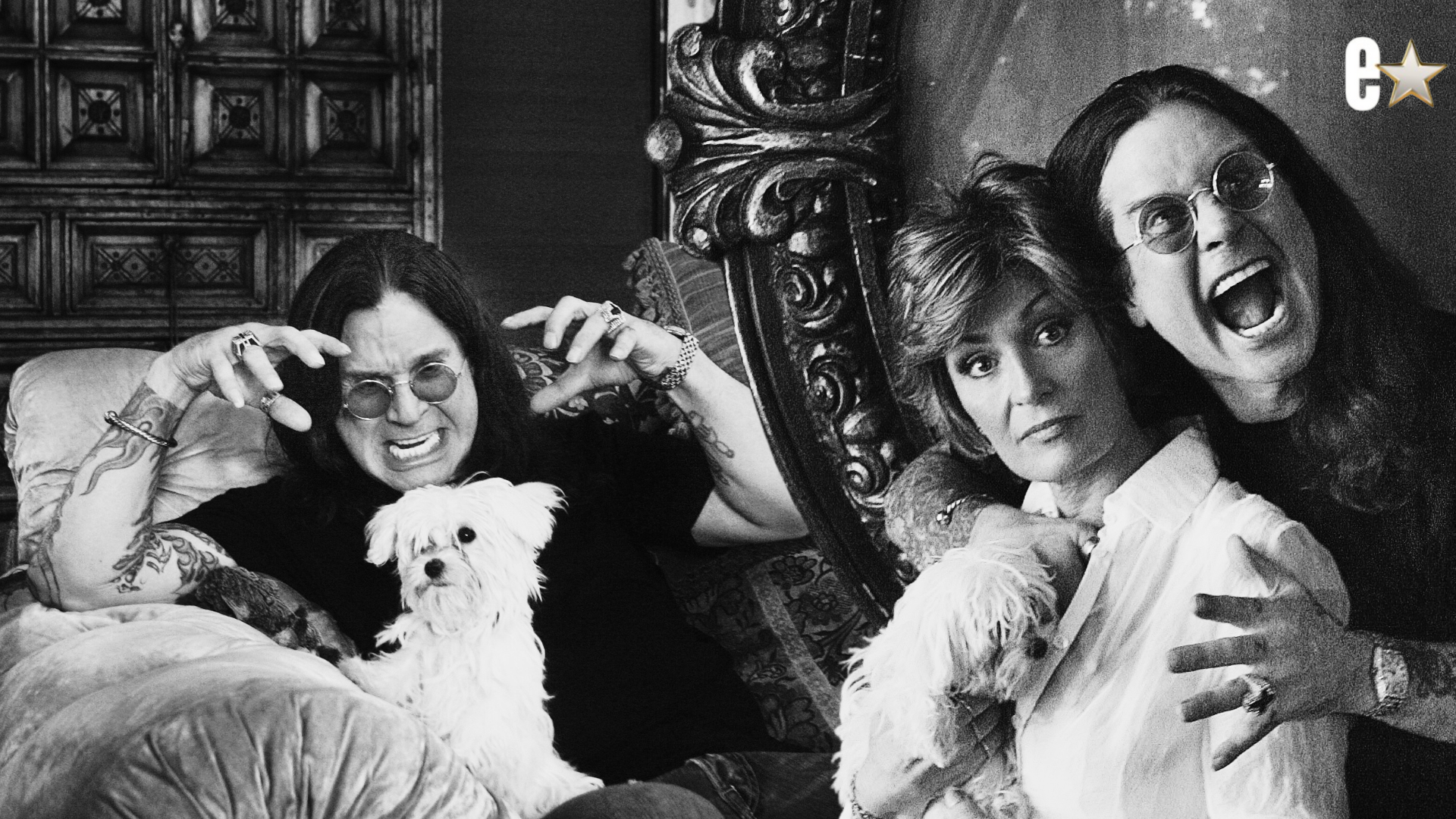 Ozzy, Sharon's pet Elvis passes Away