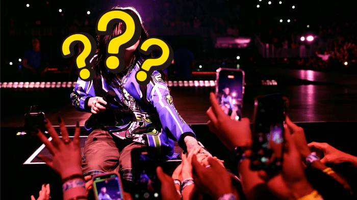 Billie Eilish grabbed by fan video