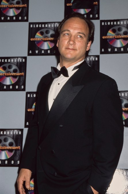Jim Belushi in 1996.