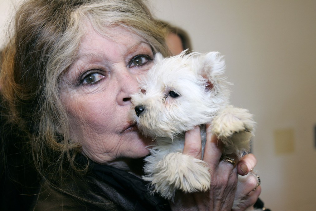 Brigitte Bardot in 2005 with a puppy