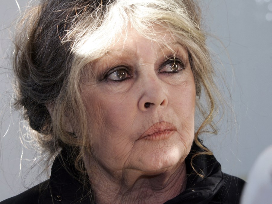 Brigitte Bardot quitte, le 28 décembre 2005