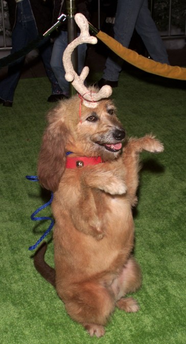 Max