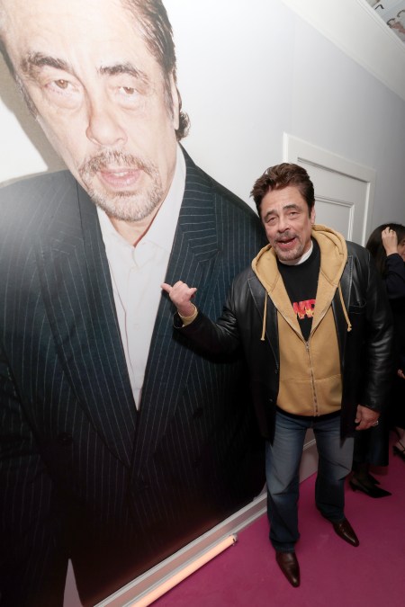 Benicio del Toro
