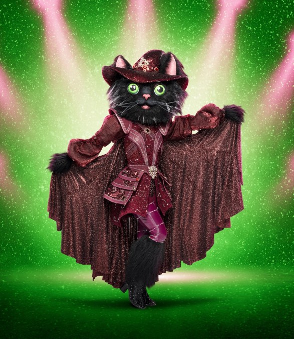 Cat Witch