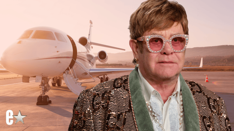 Sir Elton John plane bird strike