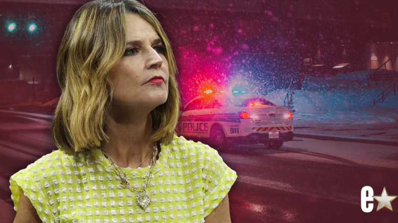 nancy-guthrie-sheriff-update-not-found