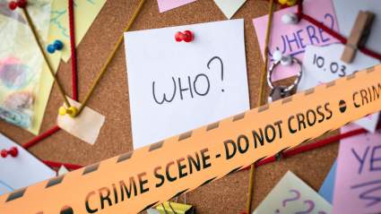 Savannah Guthrie’s Brother-in-Law Not Ruled Out as Suspect, Says Sheriff Chris Nanos