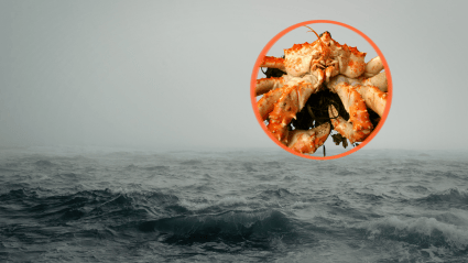 Todd Meadows’ Crewmate Reveals Exactly What Happened Onboard the Boat Right Before ‘Deadliest Catch’ Star Was Lost to the Sea