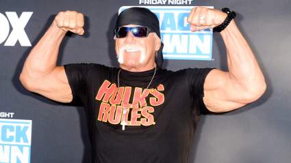 Hulk Hogan’s Netflix Documentary Details: 5 Fast Facts You Need to Know