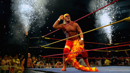 Hulk Hogan’s Late Older Brother Allan Bollea: 5 Fast Facts You Need to Know