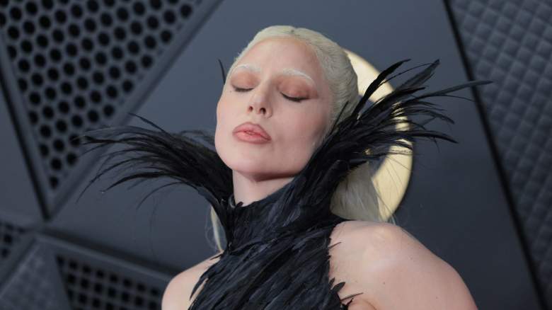 Lady Gaga on the red carpet