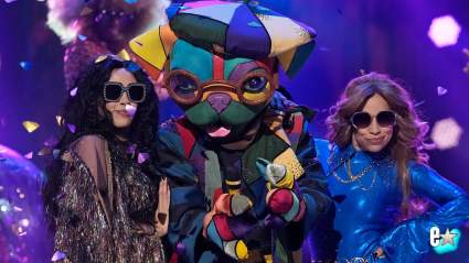 ‘The Masked Singer’ Season 14 Winner & Identities Odds Revealed
