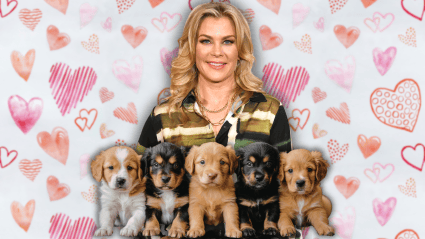 Hallmark Star Alison Sweeney Honored With Award for Her ‘Passionate’ Dedication to an Amazing Cause