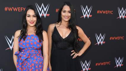 Nikki and Brie Bella Think It’s ‘a Perfect Time’ For ‘Total Divas’ to Return