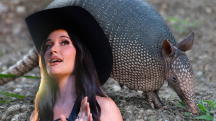 Kacey Musgraves Somersaults Through Walmart in Armadillo Costume to Find Her Album (VIDEO)
