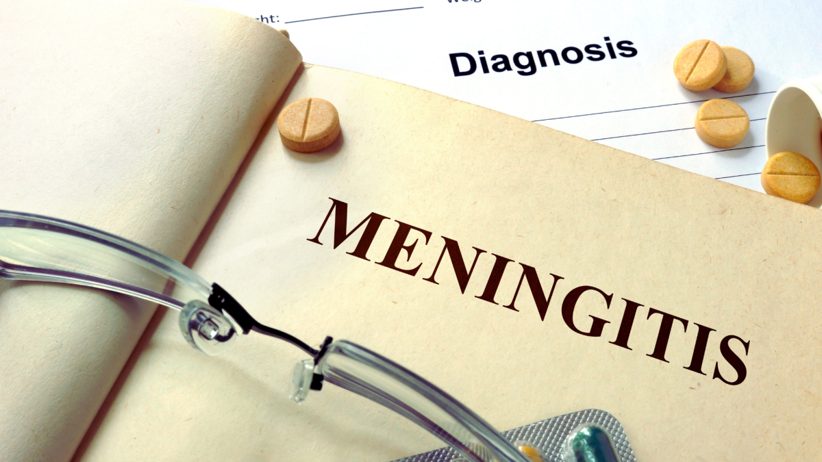 meningitis text