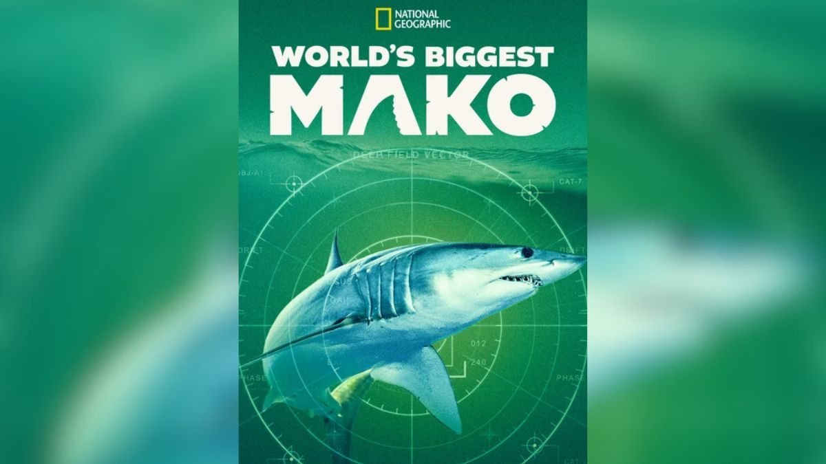 World&rsquo;s Biggest Mako