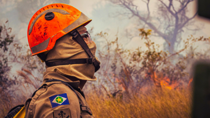 HGTV Star Confirms Their Safety amid Toronto Wildfires, Shares Shocking Video