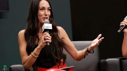 WWE Star Brie Bella Gives Update on Emergency Hospitalization – ‘I’ll Be Out for a Bit’