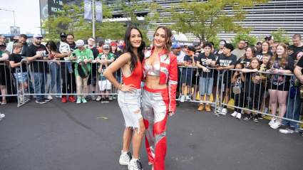 Brie Bella Injured: ‘Taken To The Hospital’ After Suffering Shoulder Injury At WWE SummerSlam