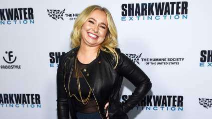 Who Is Brian Hickerson? What to Know About Hayden Panettiere’s Ex-Boyfriend