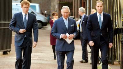 King Charles Hopeful Sons Will Reconcile Once Prince Harry Returns to the UK