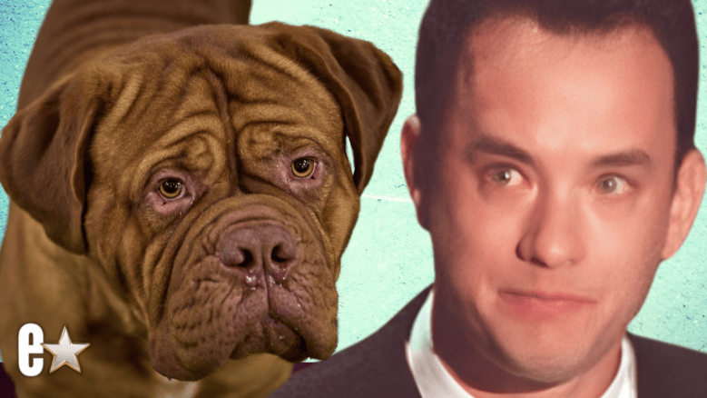 Tom Hanks Turner & Hooch