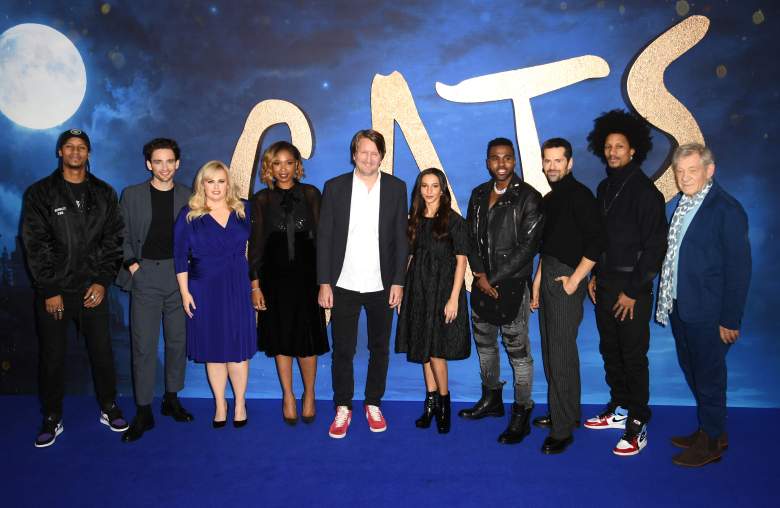 Larry Bourgeois, Laurie Davidson, Rebel Wilson, Jennifer Hudson, director Tom Hooper, Francesca Hayward, Jason Derulo, Robbie Fairchild, Laurent Bourgeois and Sir Ian McKellen attend the "Cats" photocall