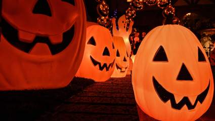 3 Underrated Halloween-Themed Movies That Will Actually Scare You