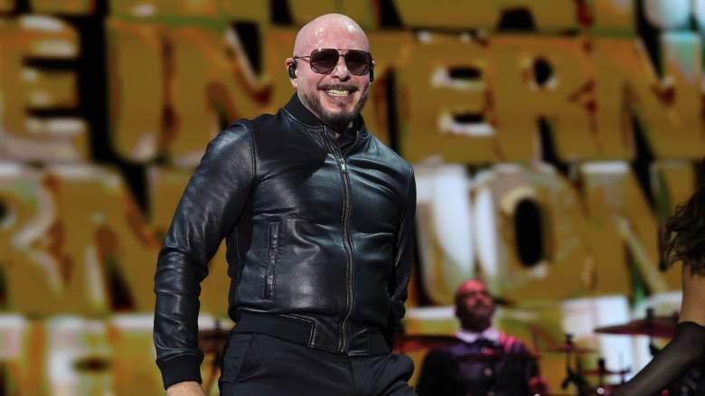 Pitbull